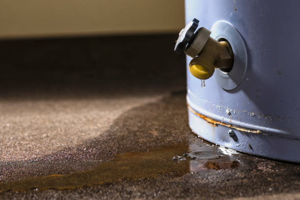 Best Water damage contractors near me  in Pleasure Point, CA