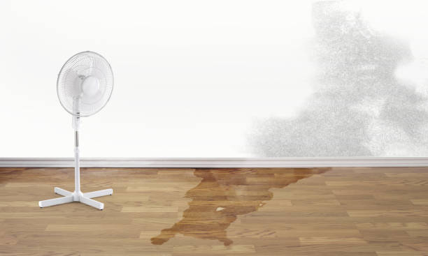 Best Water damage restoration insurance claims  in Pleasure Point, CA