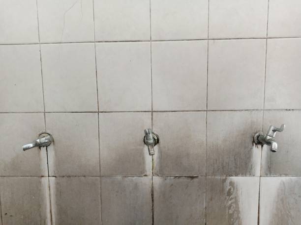 Best Residential water damage restoration  in Pleasure Point, CA