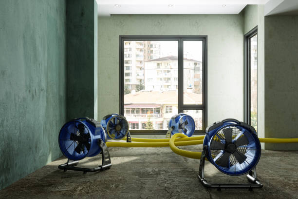 Best Mold removal after water damage  in Pleasure Point, CA