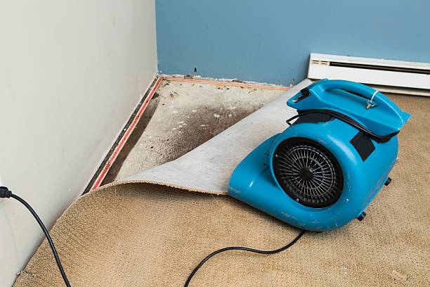 Trusted Pleasure Point, CA Water damage restoration Experts