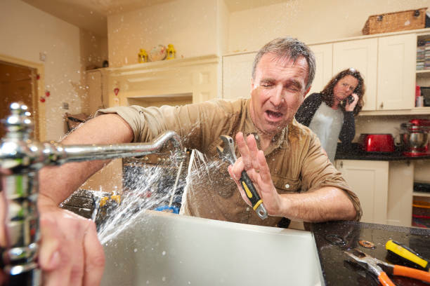 Best Flooded house restoration  in Pleasure Point, CA